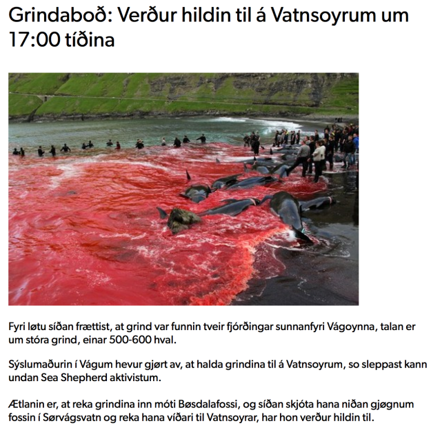 Fake Grindadráp in Vatnsoyrar