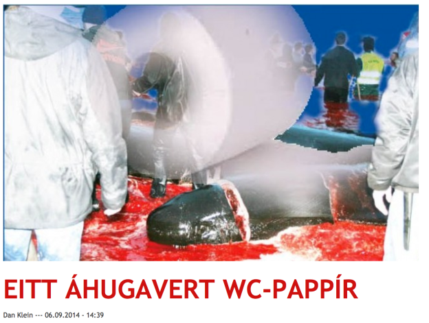 "An Interesting Toilet Paper"